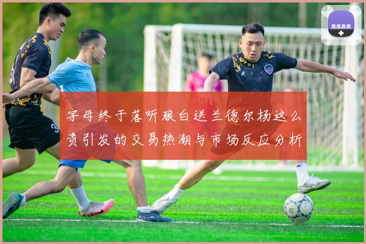 字母终于落听狼白送兰德尔杨这么贵引发的交易热潮与市场反应分析