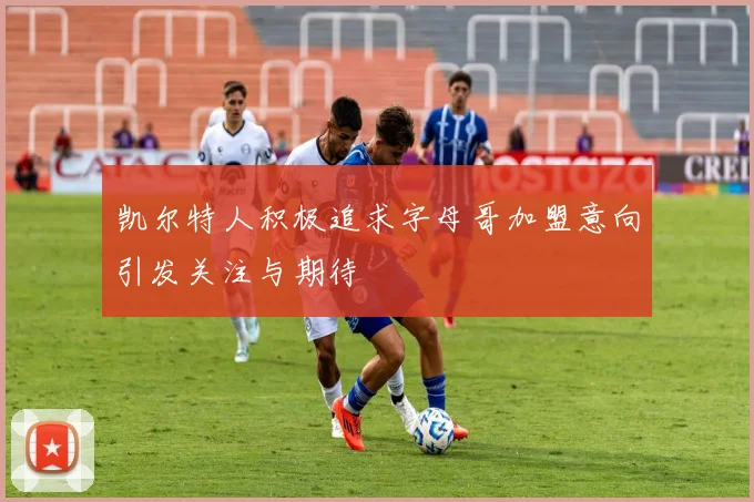 凯尔特人积极追求字母哥加盟意向引发关注与期待